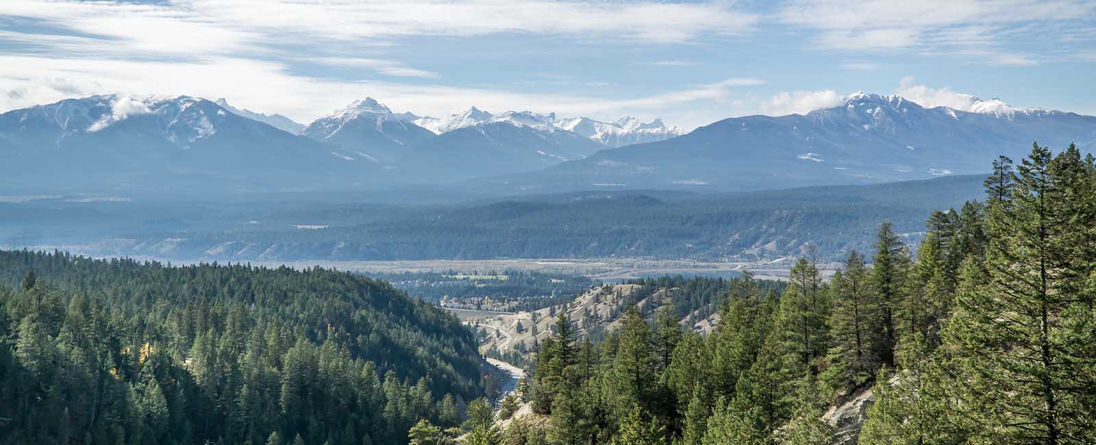 Dental Implants Crowns Veneers Extractions